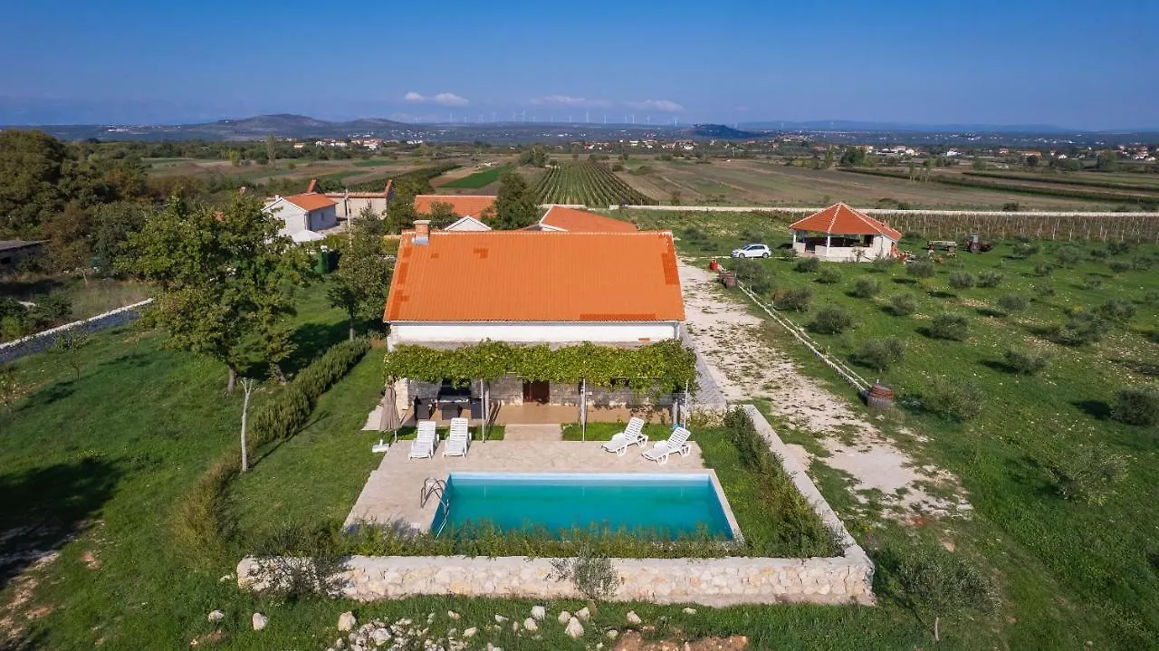 House Stone Curlew 6 Lisane Tinjske